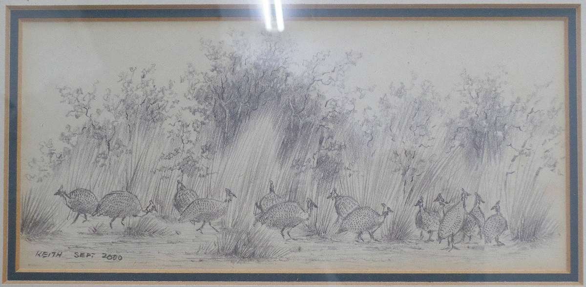 Vintage Signed Game Bird Pencil Sketch