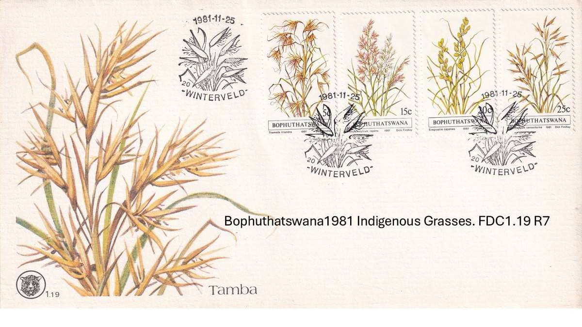 Bophuthatswana 1981 Indigenous Grasses. FDC1.19 R7