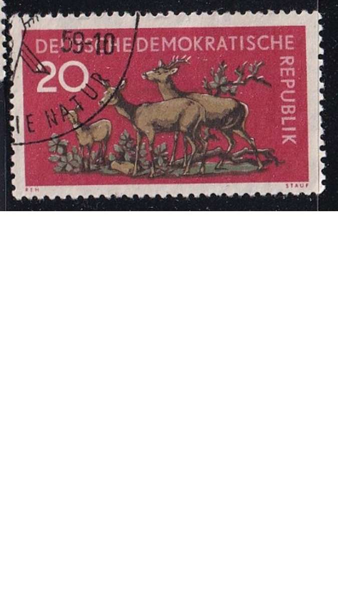 1959 Forrest Animals, ddr.