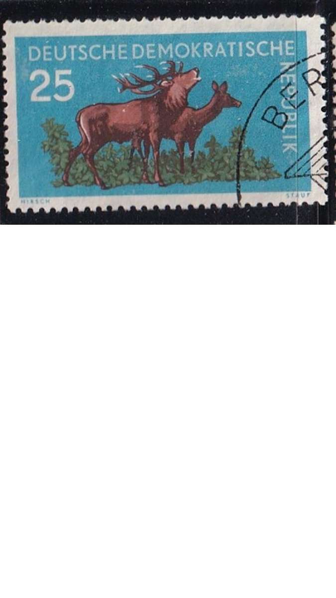 1959 Forrest Animals, DDR.