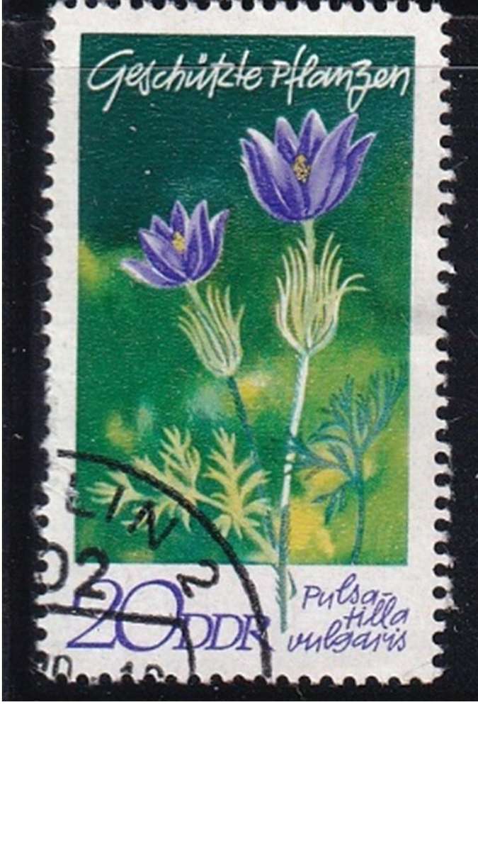 1970 Protected Plants, DDR.