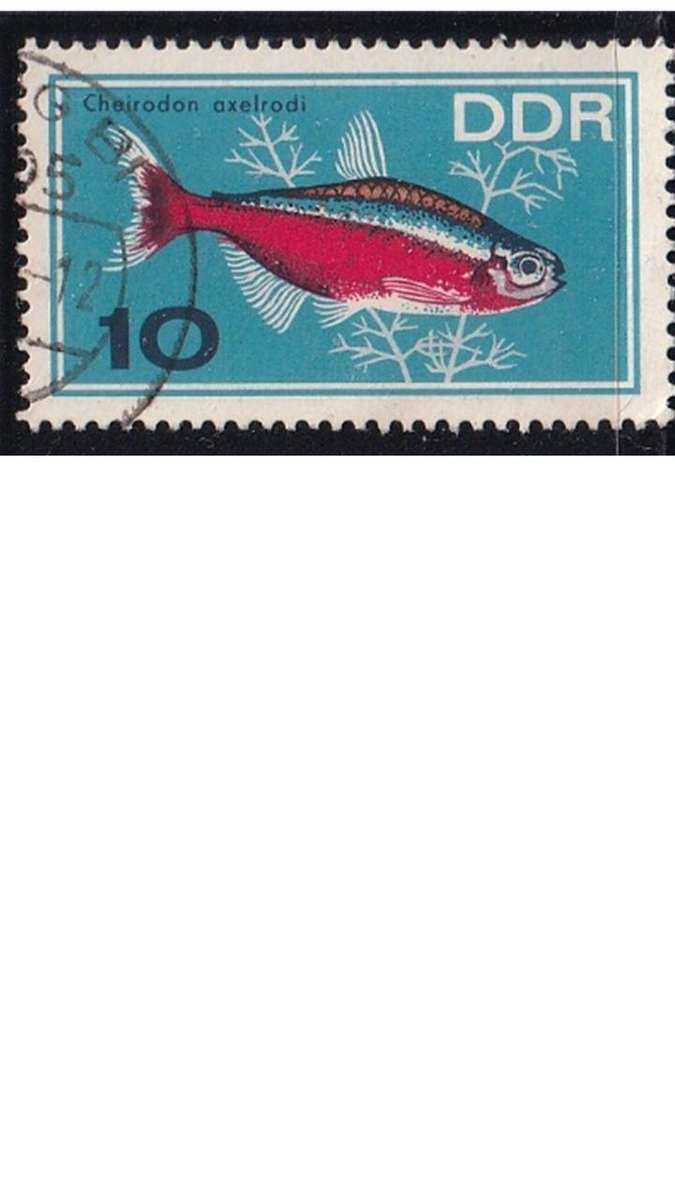 1966 Aquarium Fish, DDR. Germany