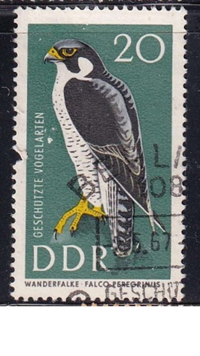 1967 Protected Birds, DDR.