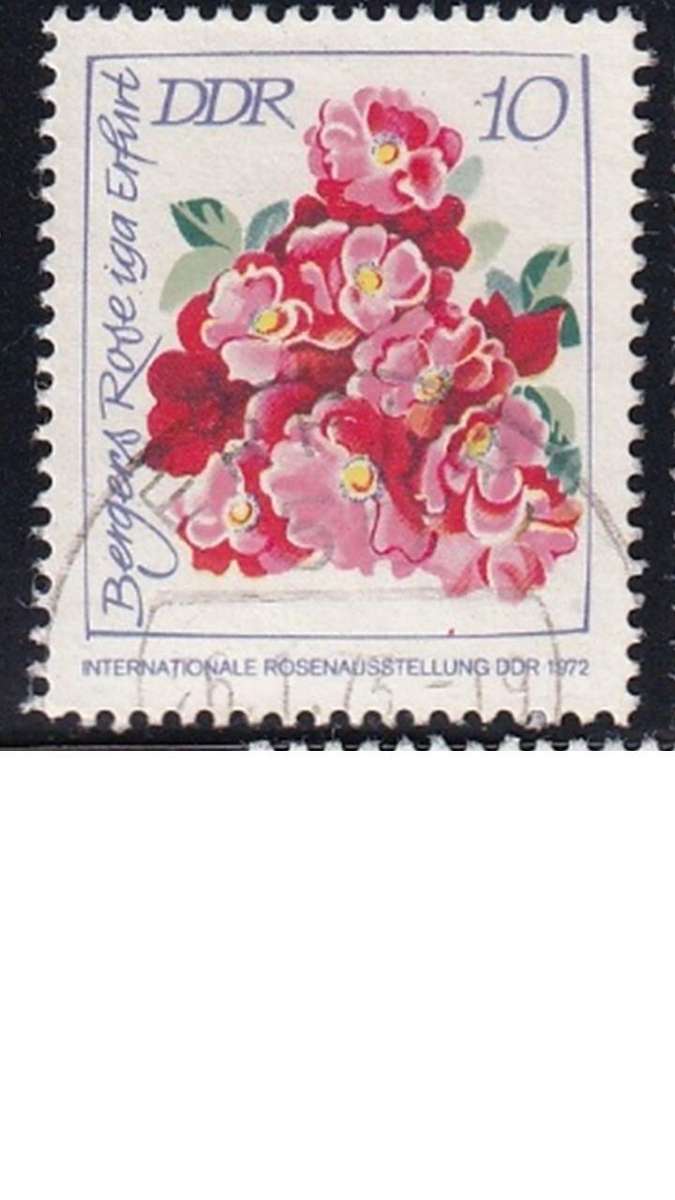 1972 International Rose Exhibition - Smaller Edition, DDR.