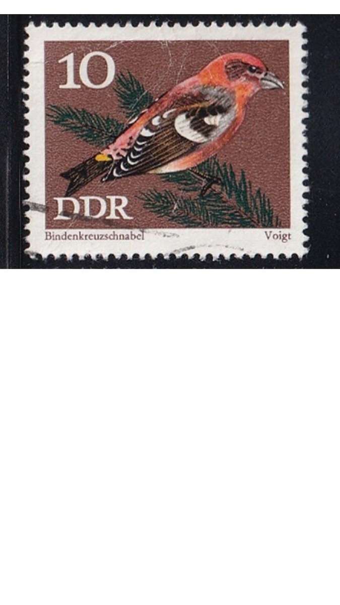 1973 Protected Songbirds, DDR.