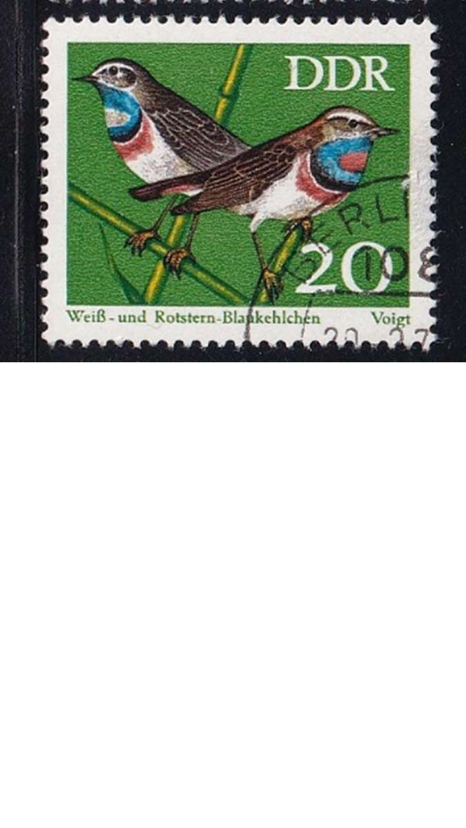 1973 Protected Songbirds, DDR.