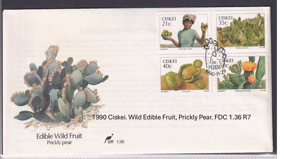 1990 Ciskei. Wild Edible Fruit, Prickly Pear. FDC 1.36 R7