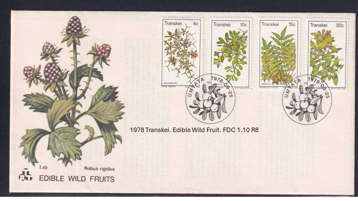 1978 Transkei. Edible Wild Fruit. FDC 1.10 R8