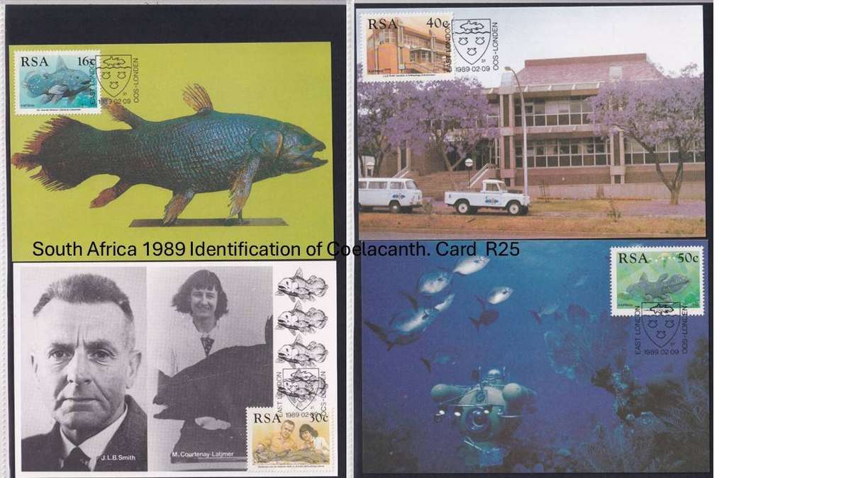 South Africa 1989 Identification of Coelacanth. Card