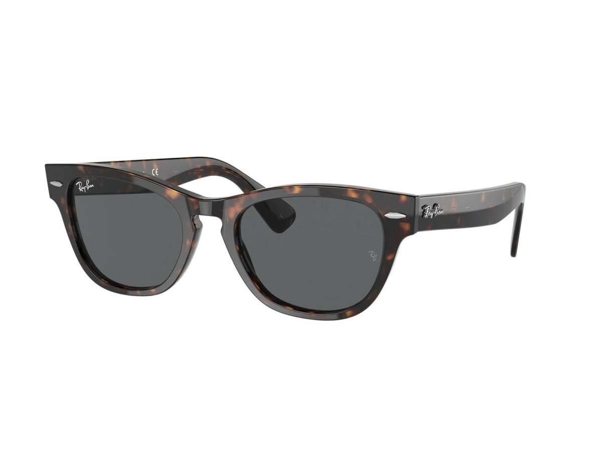 RAYBAN  LARAMIE RB2201 TORTOISE SHELL