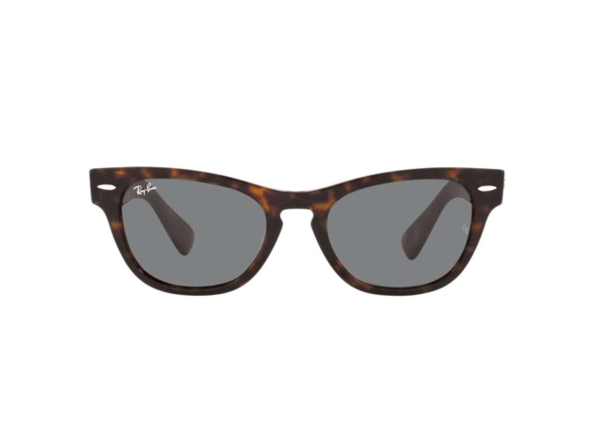 RAYBAN  LARAMIE RB2201 TORTOISE SHELL