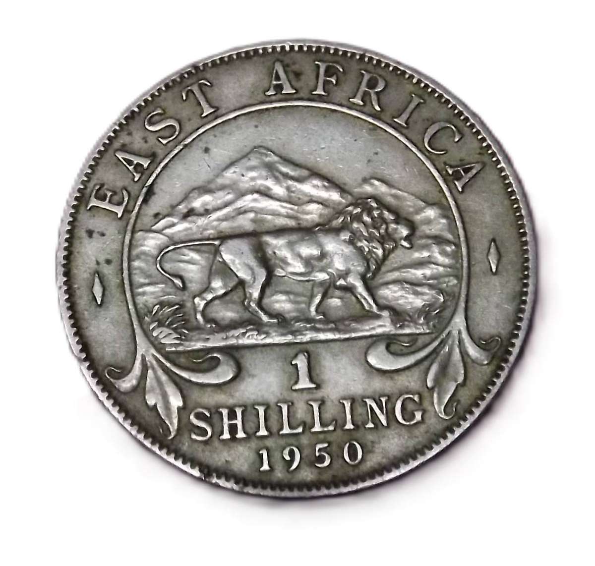 1950 Lion Of Kilimanjaro Shilling East Africa King George VI