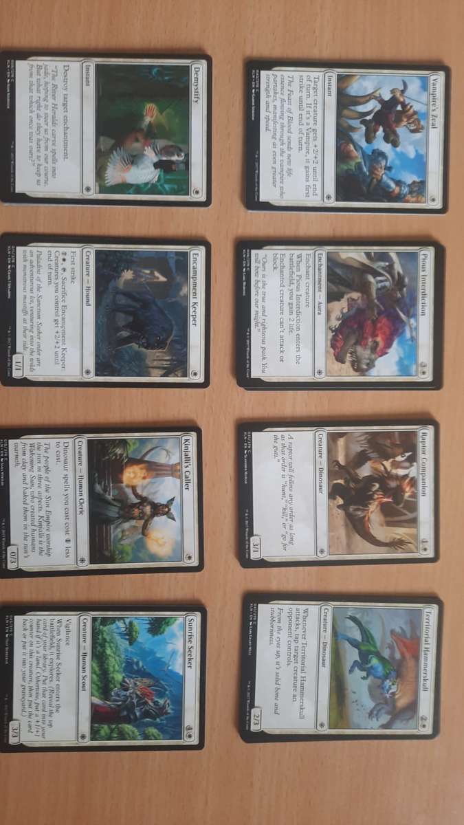 HUGE Magic: The Gathering Card Collection!