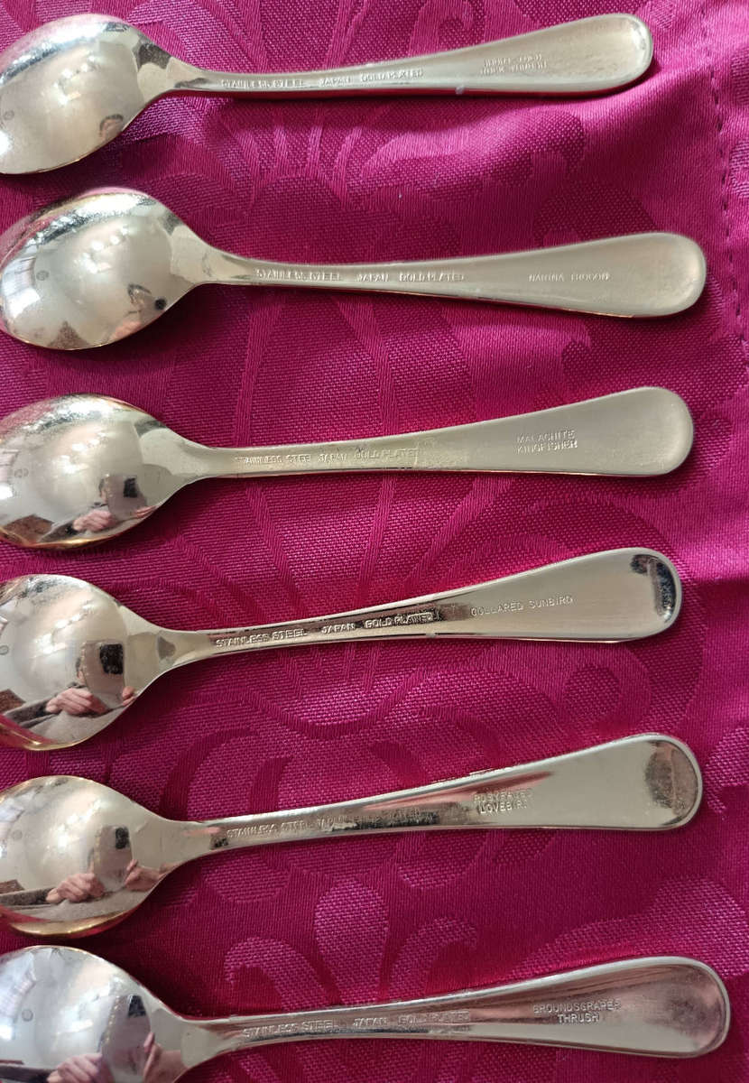 Vintage Gold-Plated Teaspoons with South African Bird Illustrations