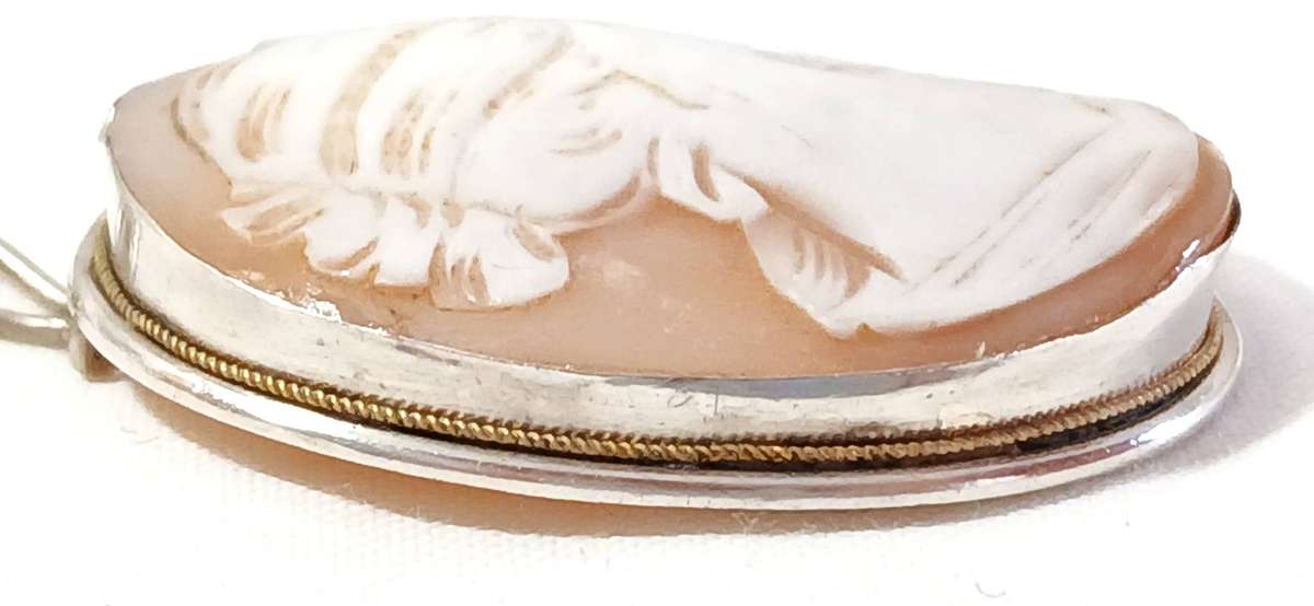 Vintage Cameo pendant on chain