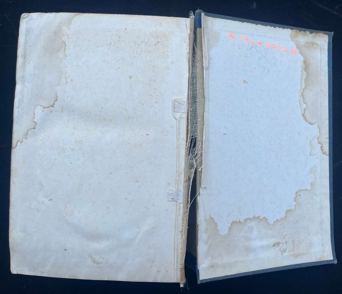 Afrikaanse Bybel Konkordasie. Mijnhardt