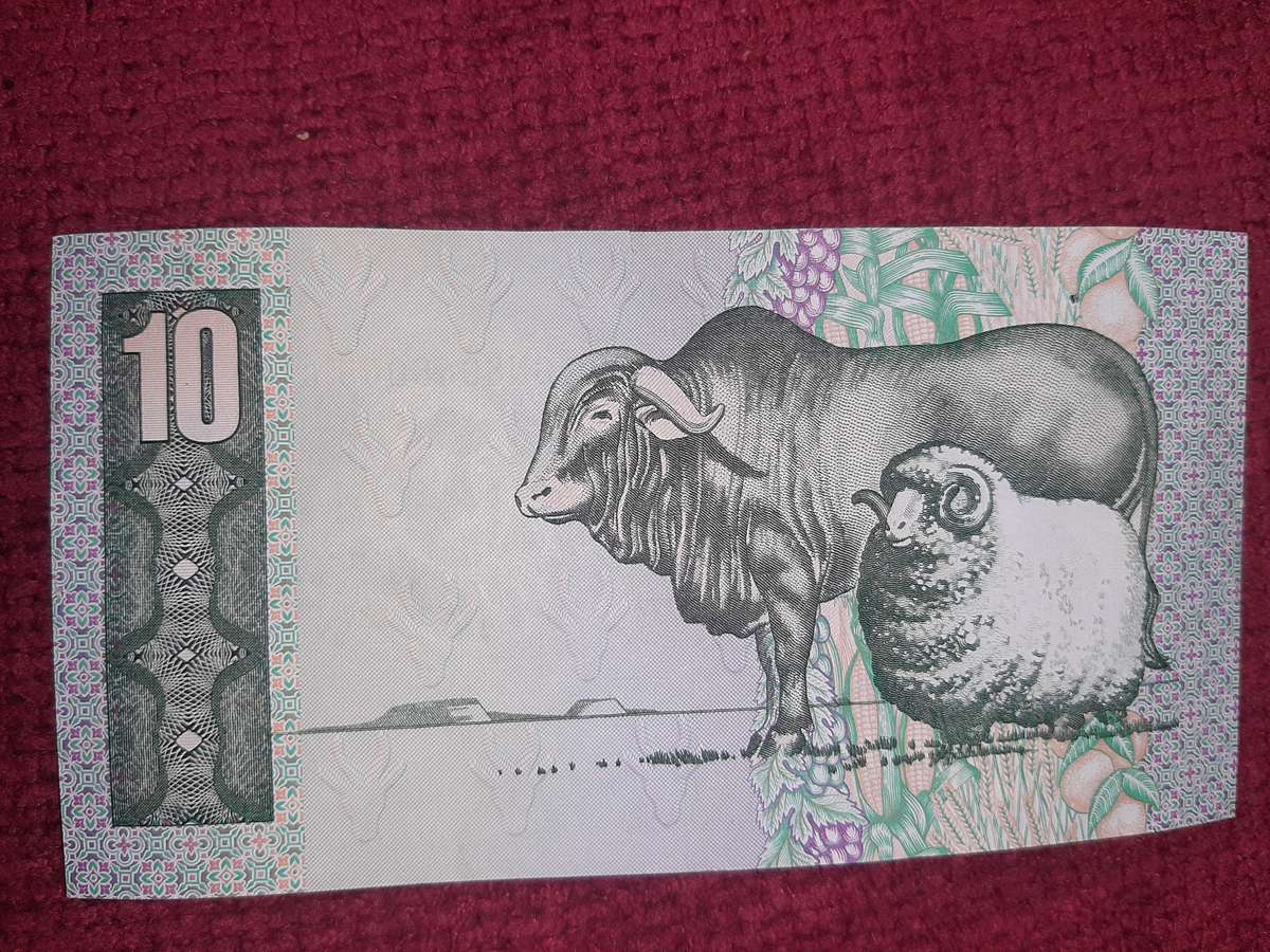 South African banknotes