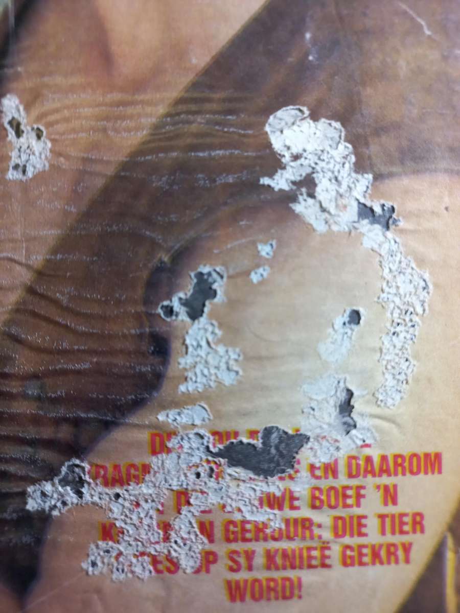 Wit Tier ( 6 issues )