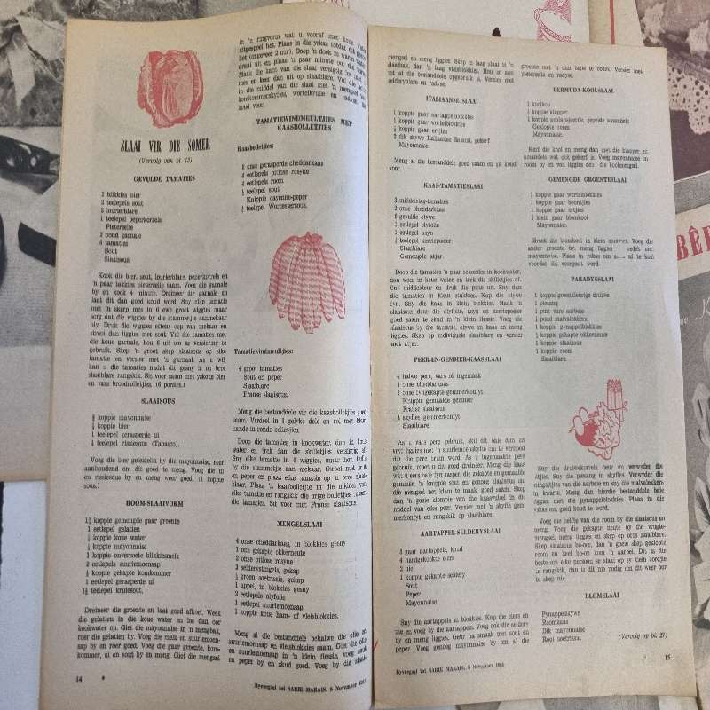 12 x Vintage Sarie Bêreboekies - Vol resepte, patrone en idees - 1950's en 1960's