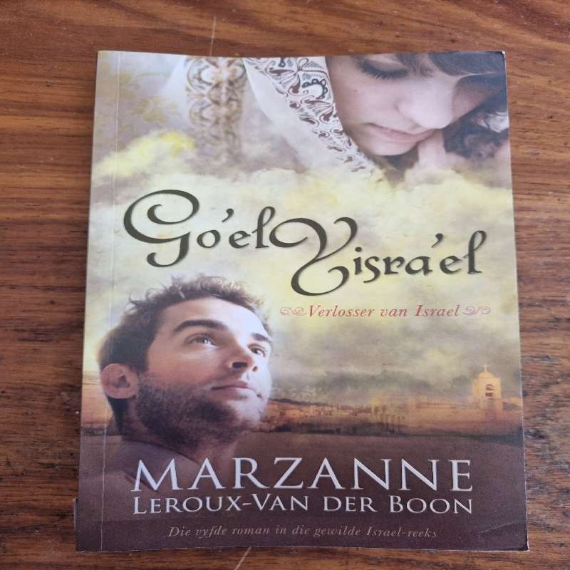 Verlosser van Israel - Marzanne Leroux-Van Der Boon