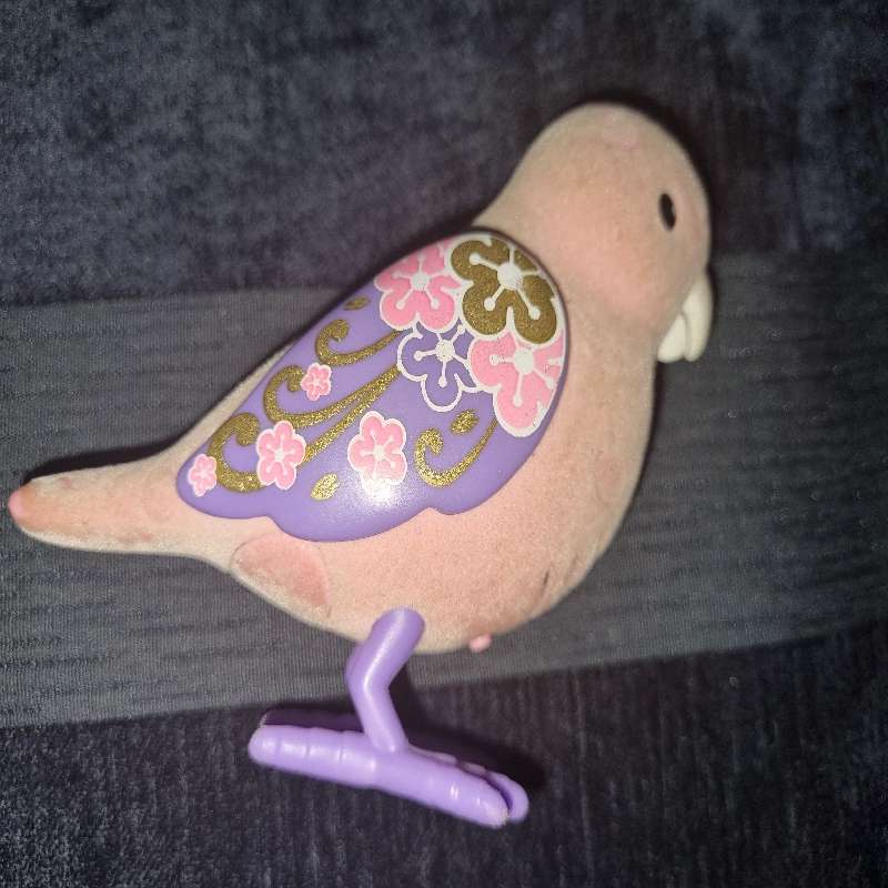 Little Live pets bird - needs batteries
