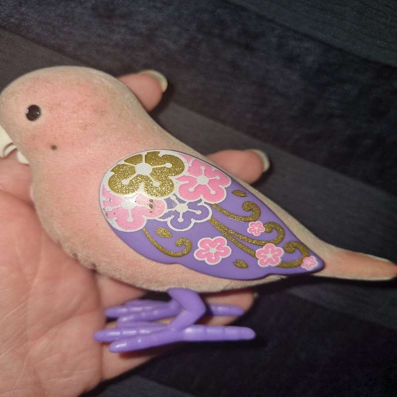 Little Live pets bird - needs batteries