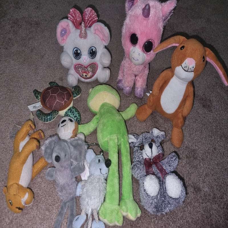 10 x Soft Toys / Stuffed animals incl. frog, bunny, etc.