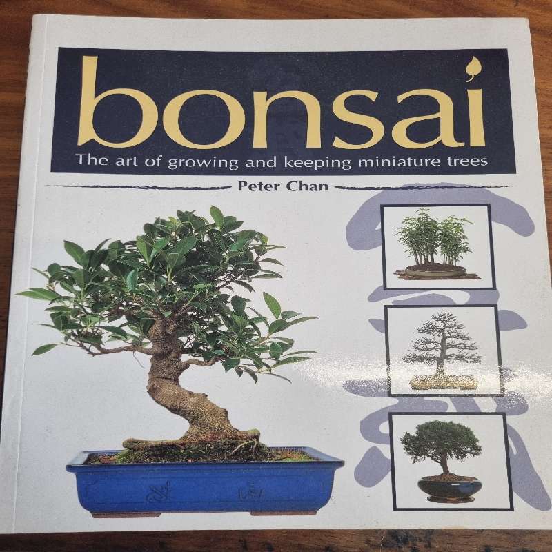 Bonsai - The Art of Growing and keeping miniature trees - Peter Chan