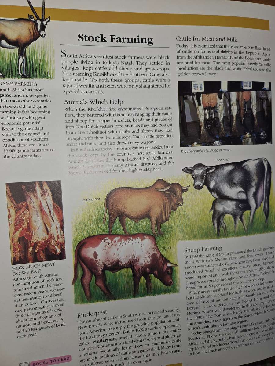 K-TV All About South Africa - Large Book