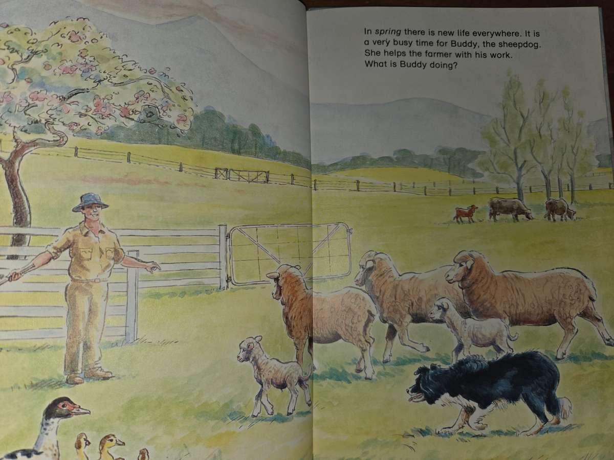 A Year on the Farm - Brenda Munitich