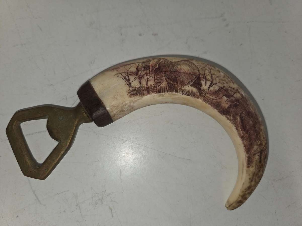 Warthog Tusk Bottle Opener with Elephant detail