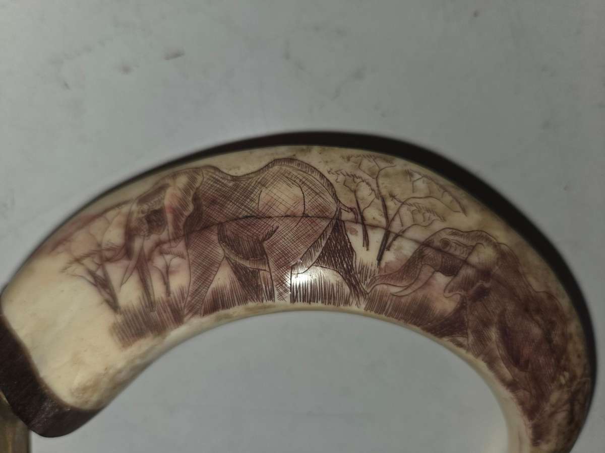 Warthog Tusk Bottle Opener with Elephant detail