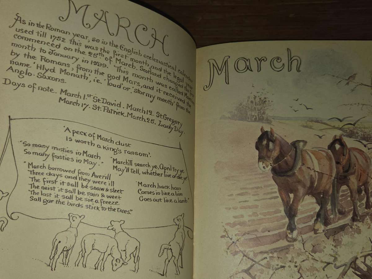 The Country Diary of an Adwardian Lady - Edith Holden