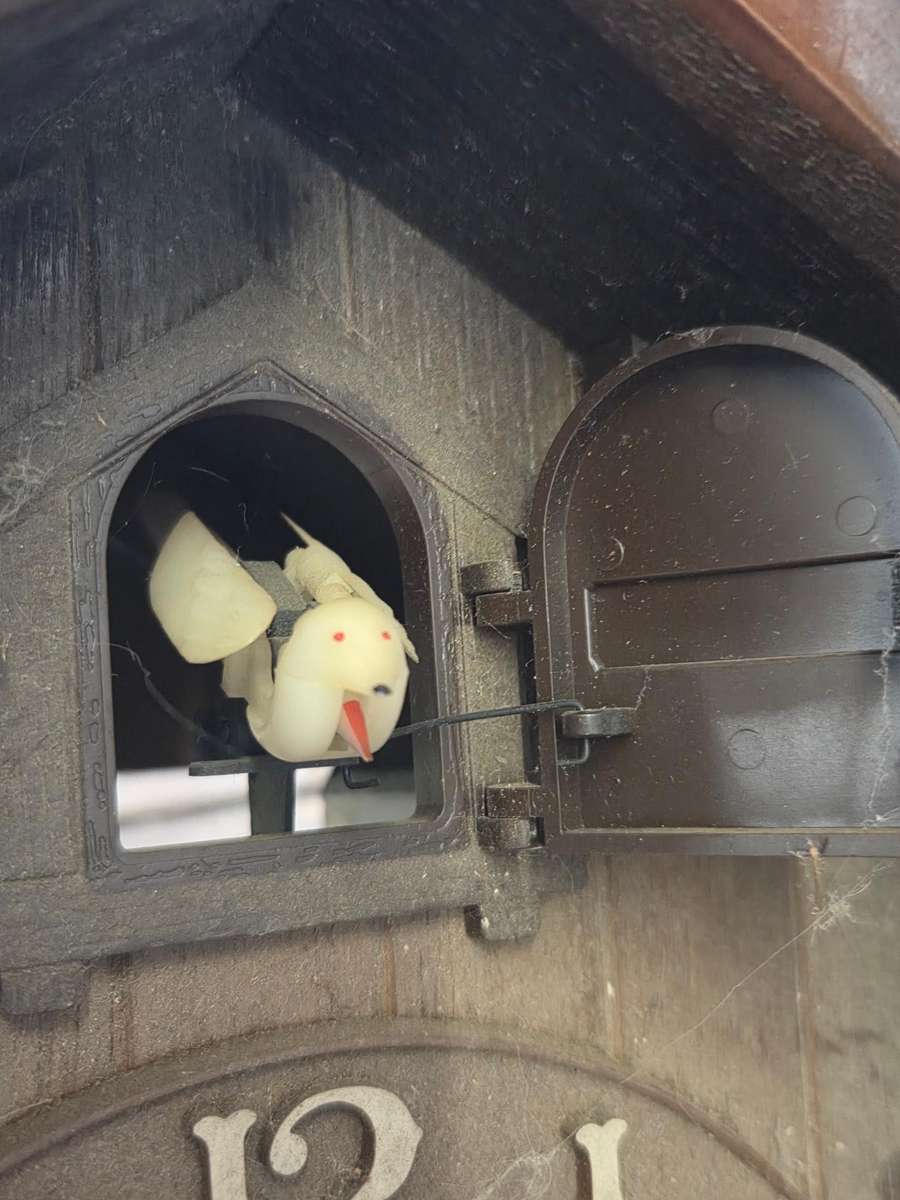 Rhythm Japan Battery Cuckoo Clock - Selling for parts or restoration - See pictures for condition