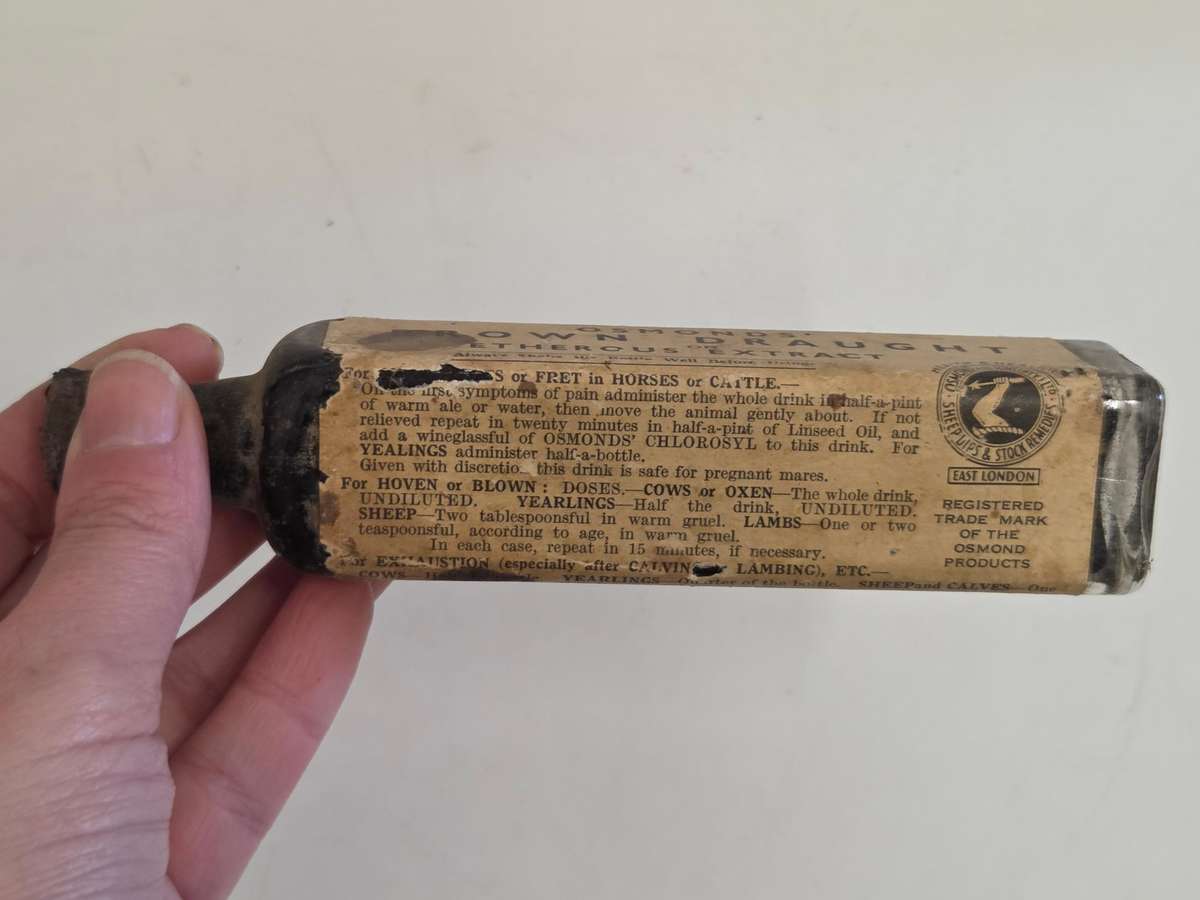 Vintage Bottle - Osmonds Brown Draught Bottle - East London