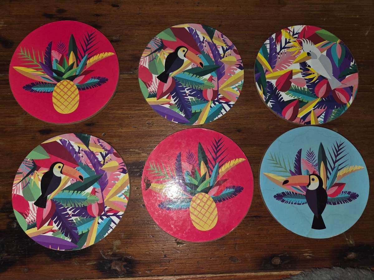 6 x Tropical Themed Coasters