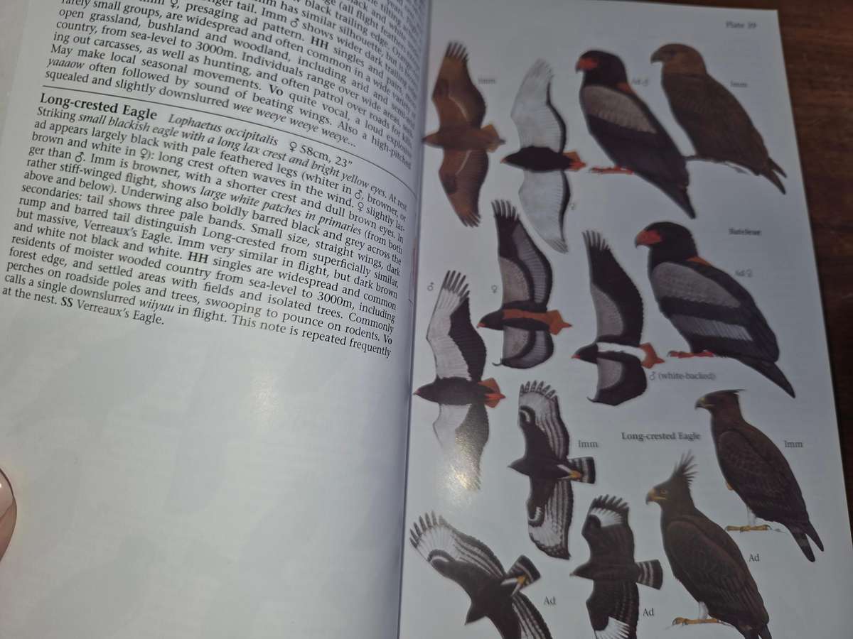 Helm Field Guide - Birds of East Africa