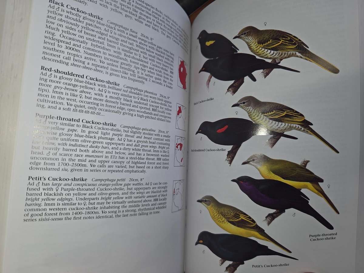 Helm Field Guide - Birds of East Africa