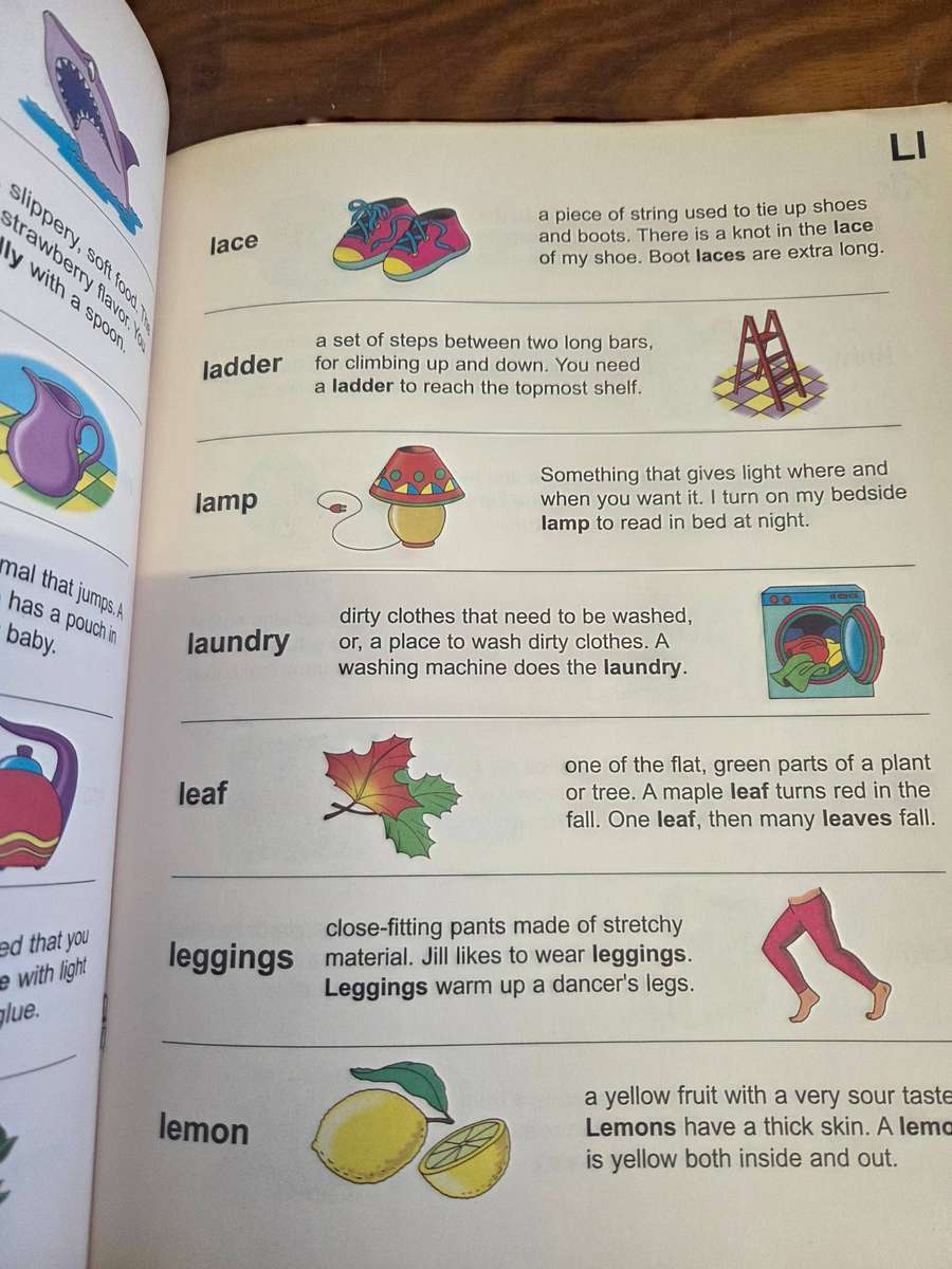 Children's Illustrated Dictionary