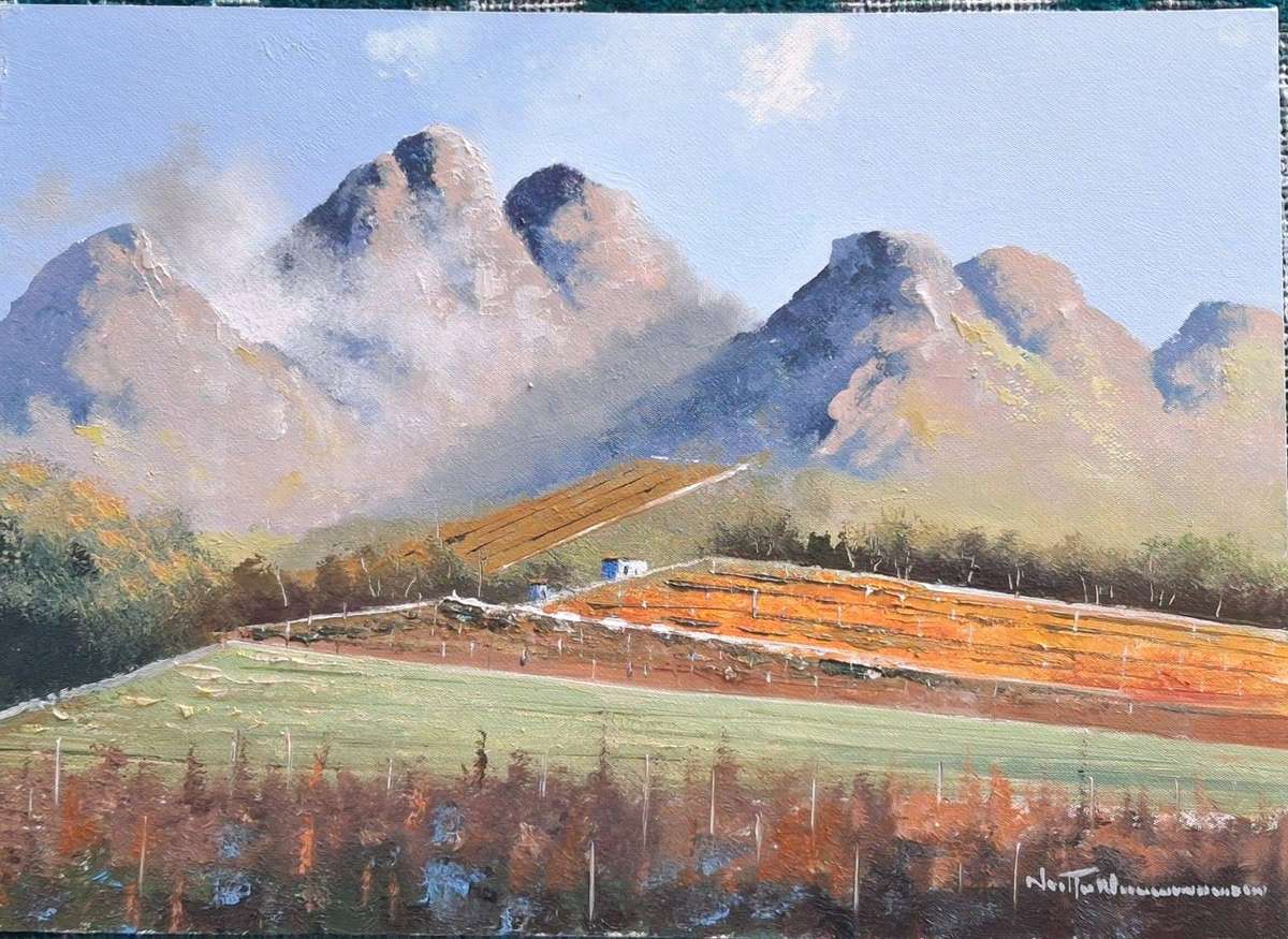 Neil janse Van Nieuwenhuizen Oil on Canvas on Board 35 x 25 cm