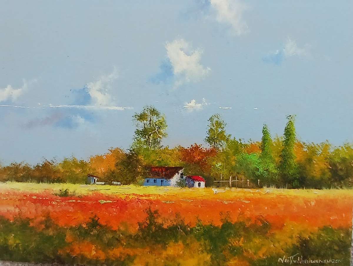 Neil janse  Van Nieuwenhuizen Oil on Canvas on Board 40 x 30 cm