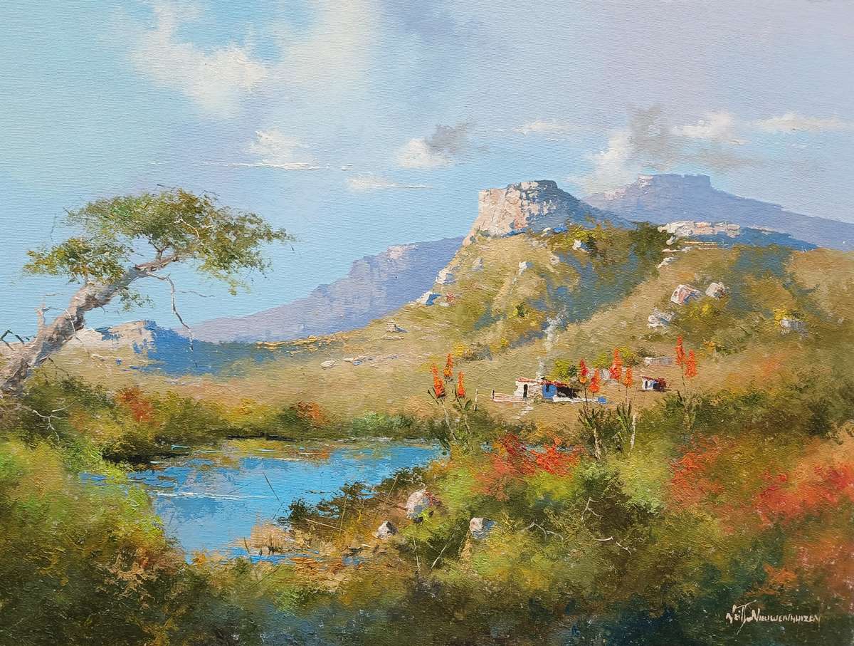 Neil janse Van Nieuwenhuizen Oil on Canvas on Board 60 x 45 cm