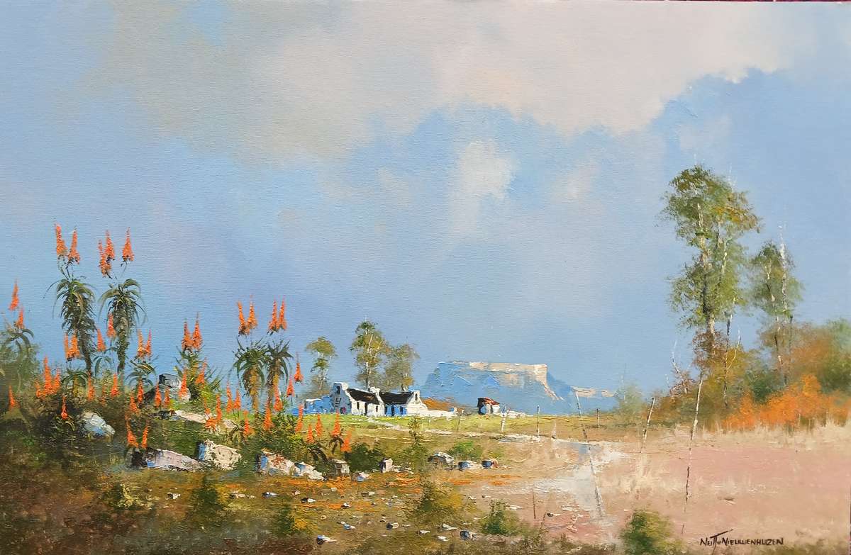 Neil janse Van Nieuwenhuizen Oil on Canvas on Board 60 x 40 cm