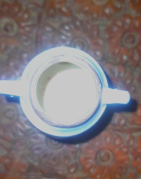 1915 Royal Bayreuth Bud Vase> Scares!