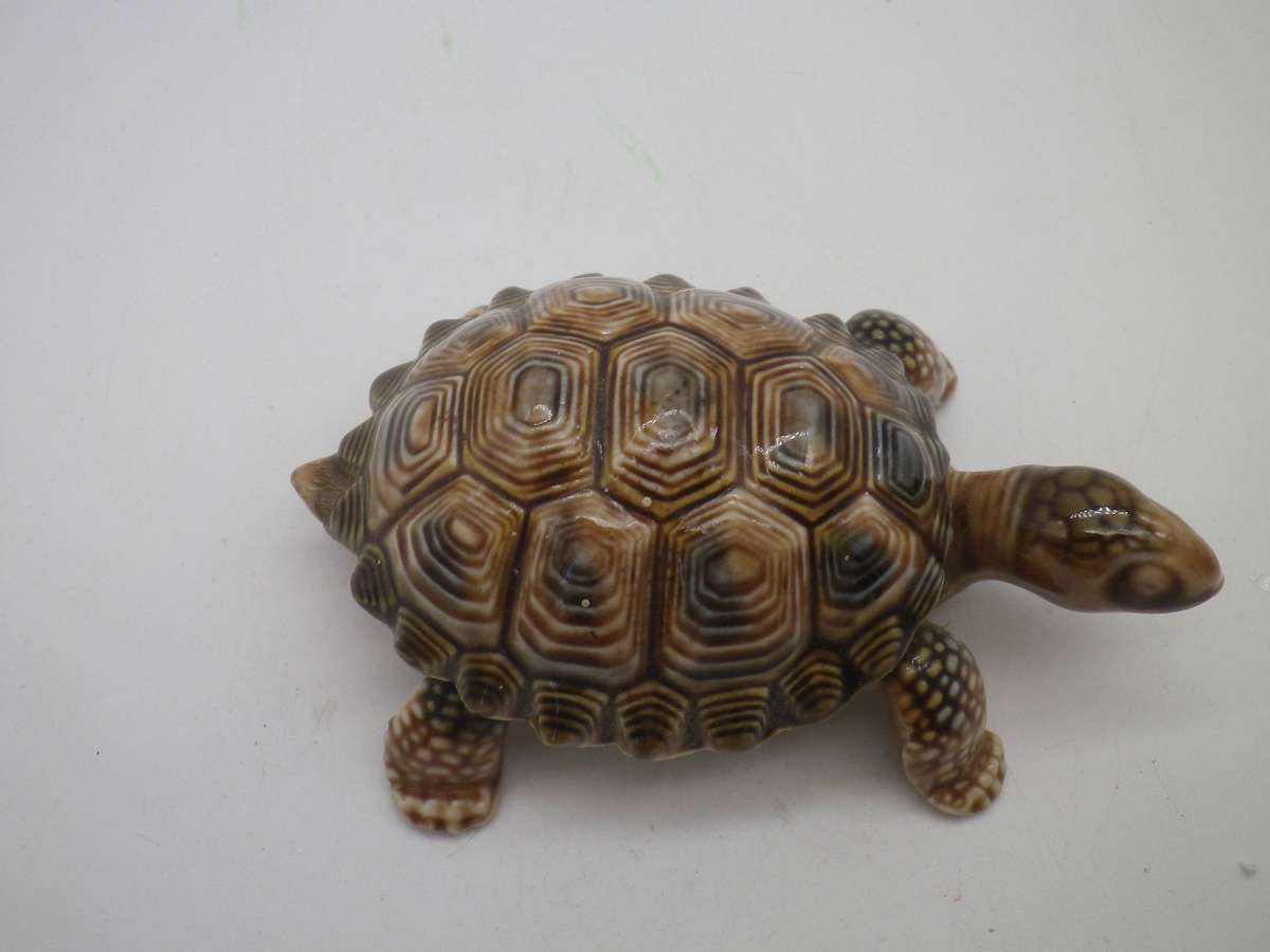 WADE Tortoise lidded porcelain trinket pot. 10 x7cm. Collectable!