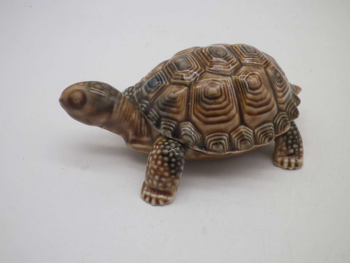 WADE Tortoise lidded porcelain trinket pot. 10 x7cm. Collectable!