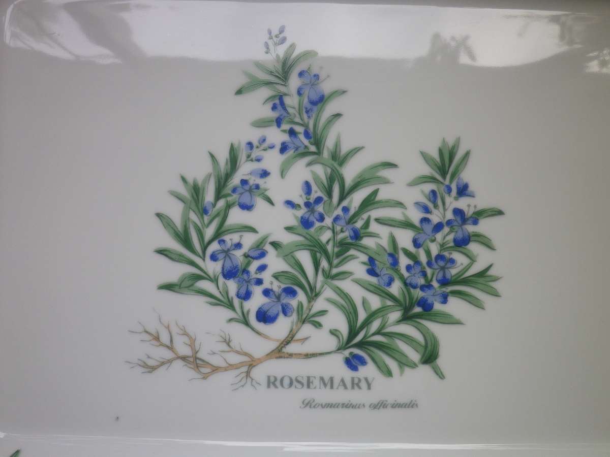 Wiesenthal, Germany Large Baking dish. "Rosemary" Pattern. Microwave & dishwasher safe