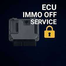 IMMO DELETE AND VIRGINE STATE FILES