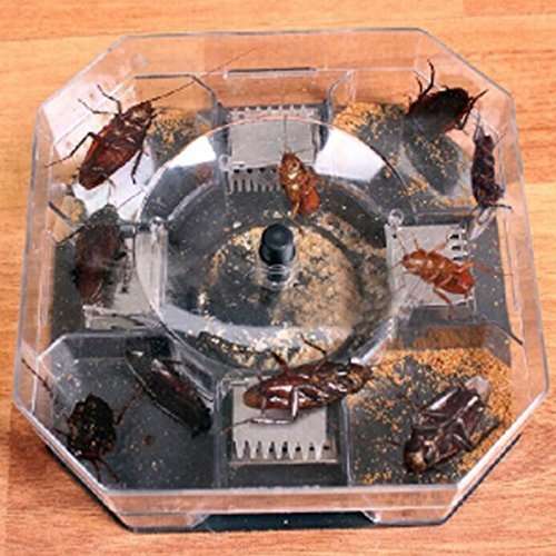 Safe and effective cockroach trap capture all kinds of roaches