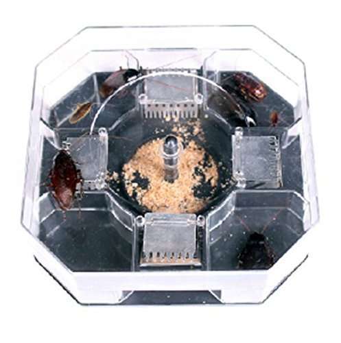 Safe and effective cockroach trap capture all kinds of roaches